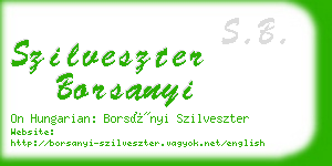 szilveszter borsanyi business card